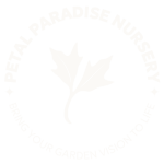 petal paradise logo transparent final