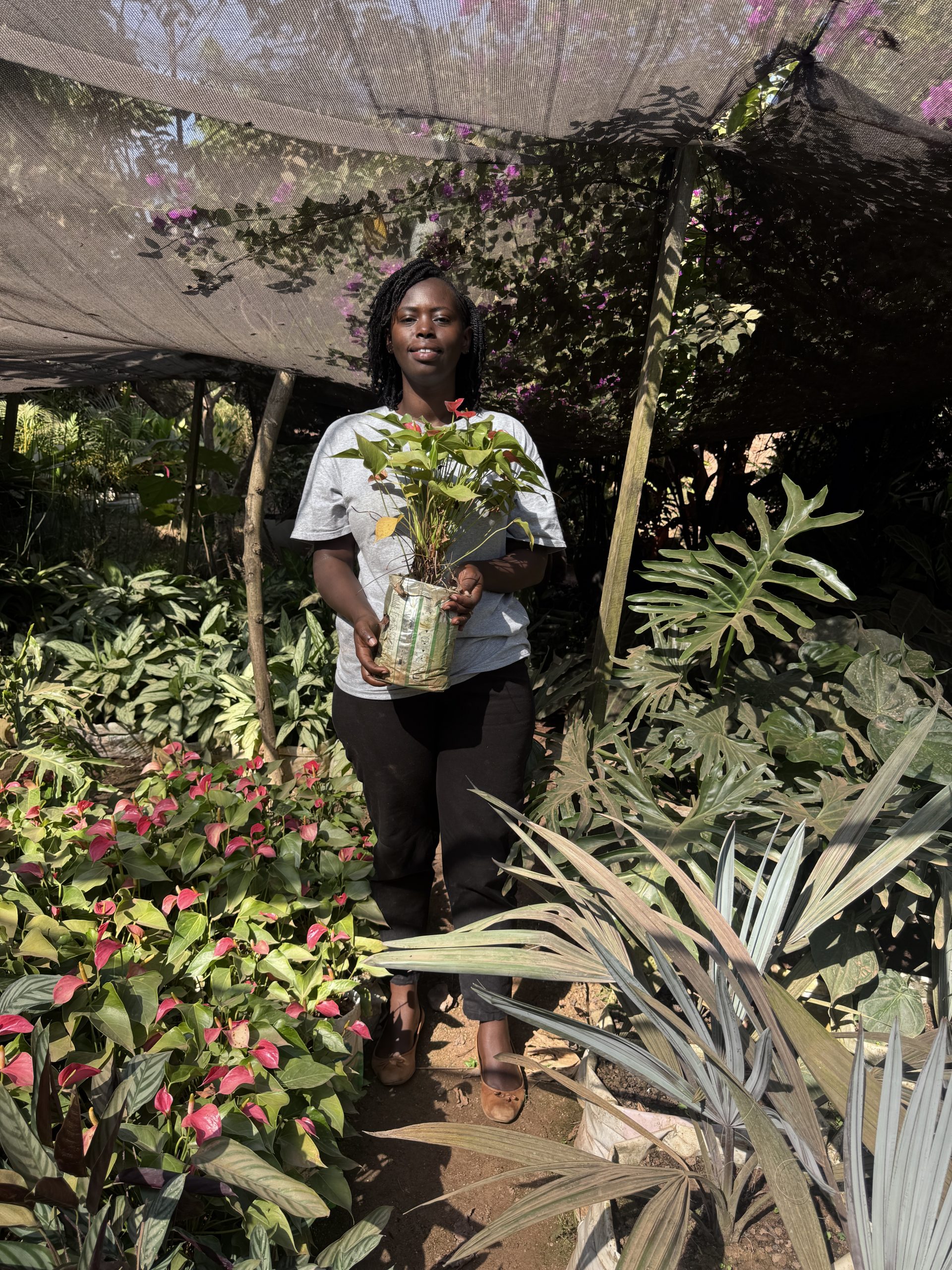 Petal Paradise Nursery founder Clarisse holding an anthurium plant